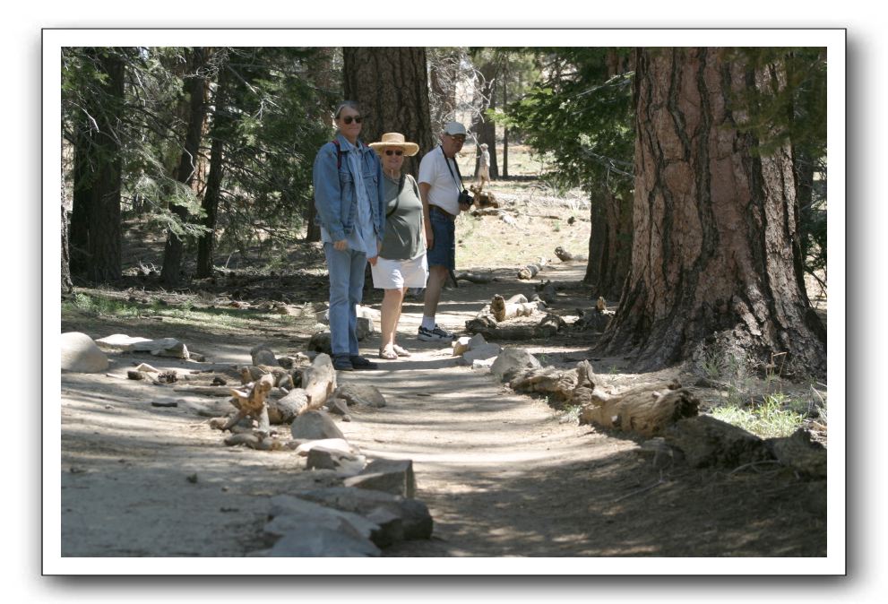 Top-of-the-Palm-Springs-Tram-0176
