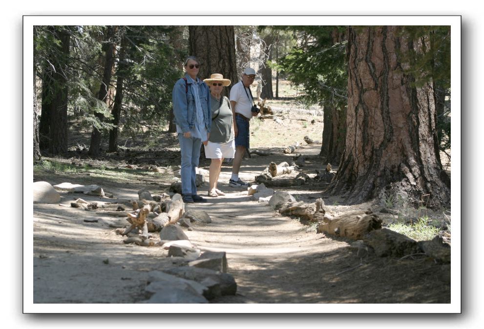 Top-of-the-Palm-Springs-Tram-0177