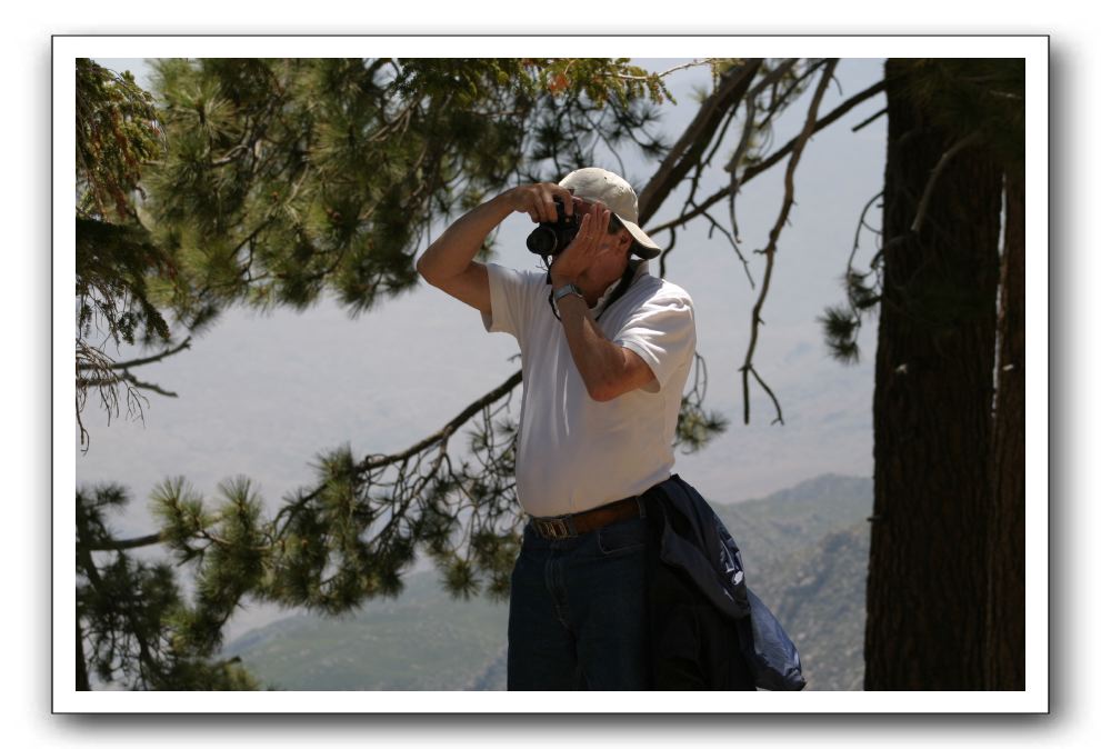 Top-of-the-Palm-Springs-Tram-0207
