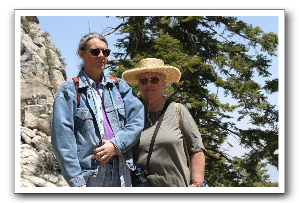 Top-of-the-Palm-Springs-Tram-0210