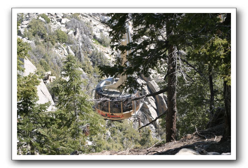 Top-of-the-Palm-Springs-Tram-0035