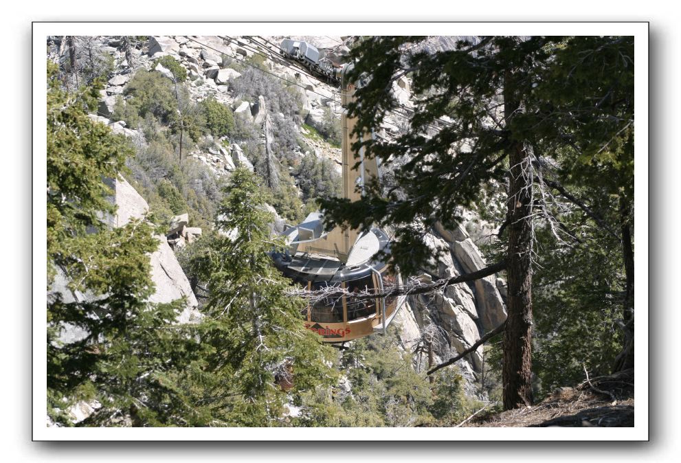 Top-of-the-Palm-Springs-Tram-0037