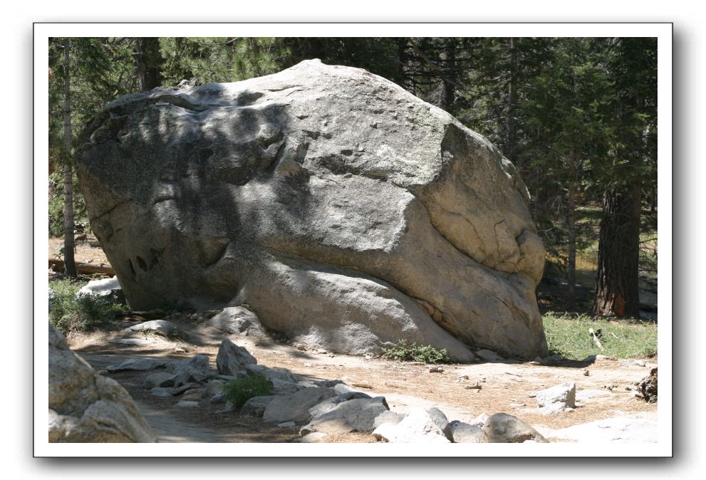 Top-of-the-Palm-Springs-Tram-0163