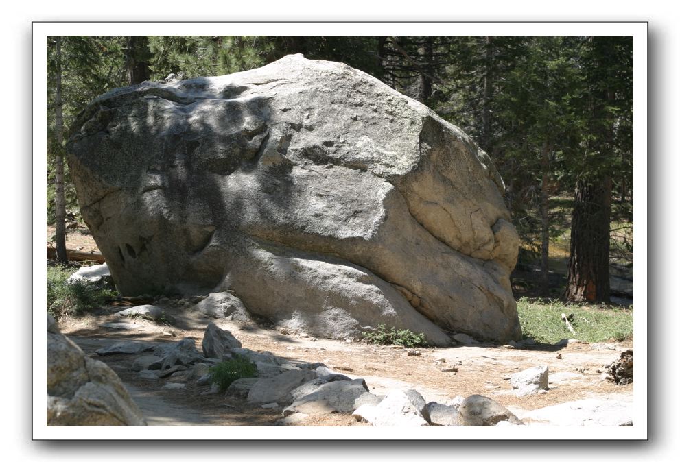 Top-of-the-Palm-Springs-Tram-0164