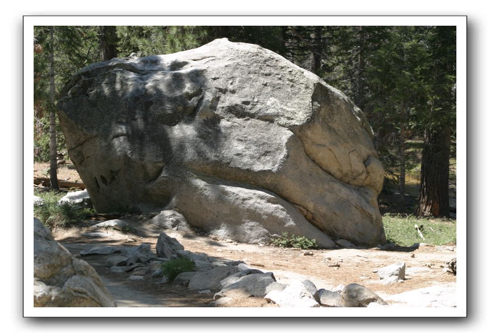 Top-of-the-Palm-Springs-Tram-0165