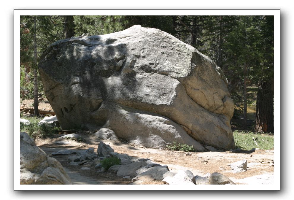 Top-of-the-Palm-Springs-Tram-0166