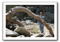 Top-of-the-Palm-Springs-Tram-0189