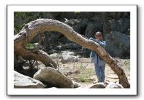 Top-of-the-Palm-Springs-Tram-0191