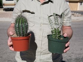 Anza_Borrego_State_Park