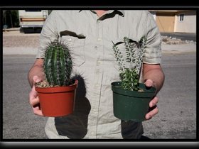 Anza_Borrego_State_Park