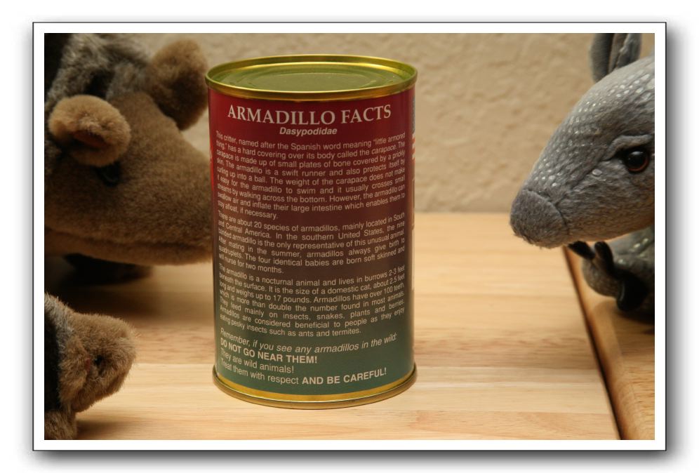 Armadillo Tour - The Armadillos 051