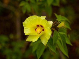 galapagos_revisited_part_2