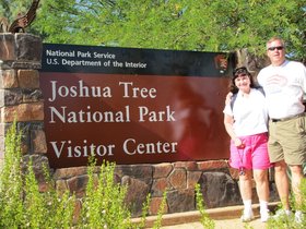 Joshua-Tree-2010-July