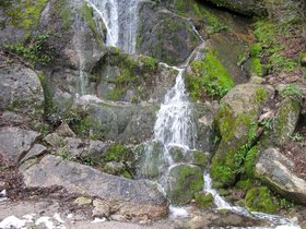 Kings_Canyon_National_Park