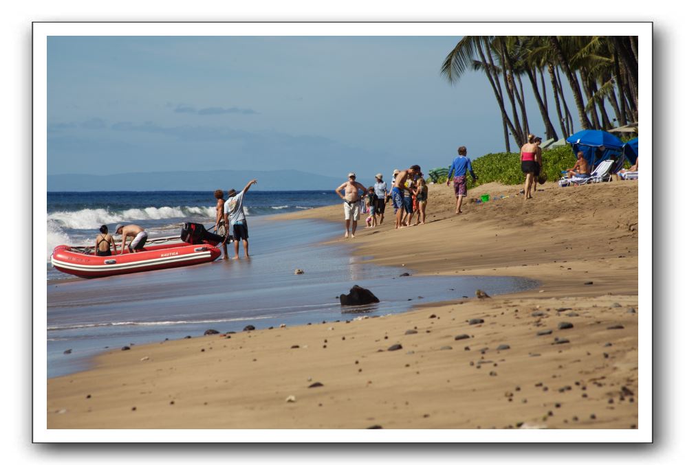 Gliders, Sand, and Surfers in Maui - 140