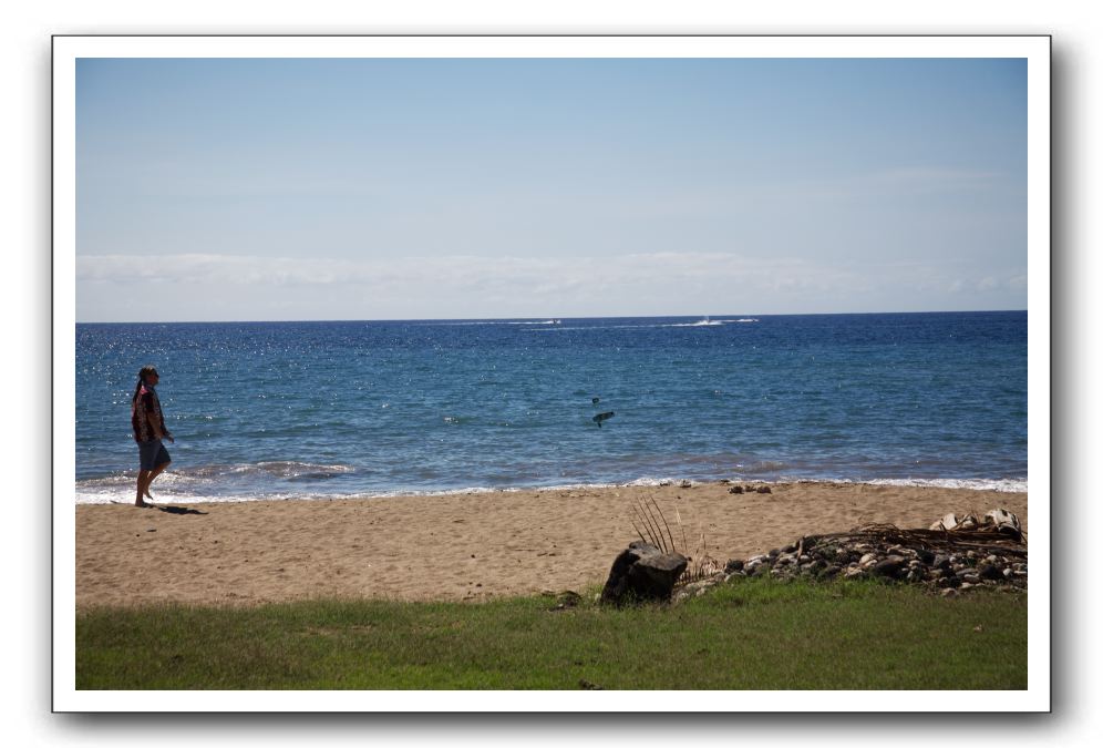 Gliders, Sand, and Surfers in Maui - 027