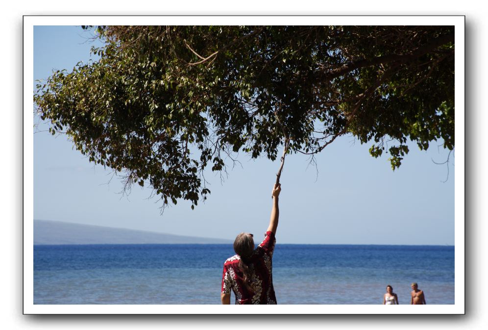 Gliders, Sand, and Surfers in Maui - 167