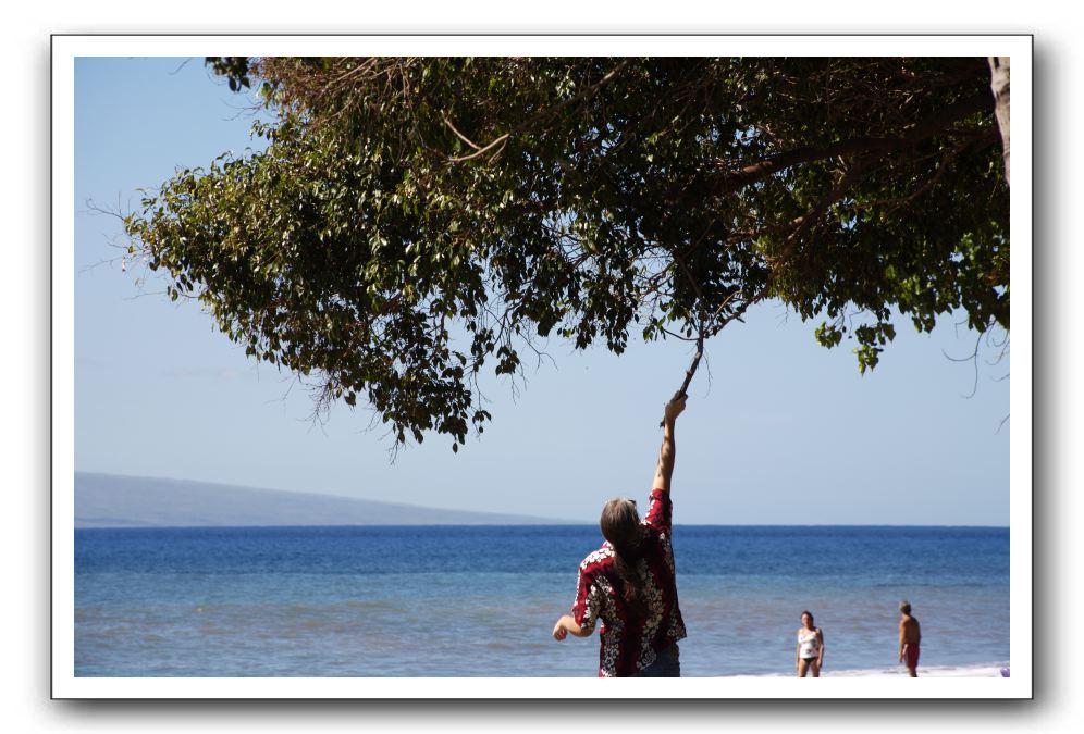 Gliders, Sand, and Surfers in Maui - 172