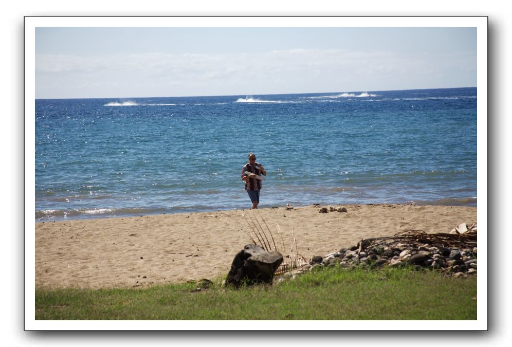 Gliders, Sand, and Surfers in Maui - 028