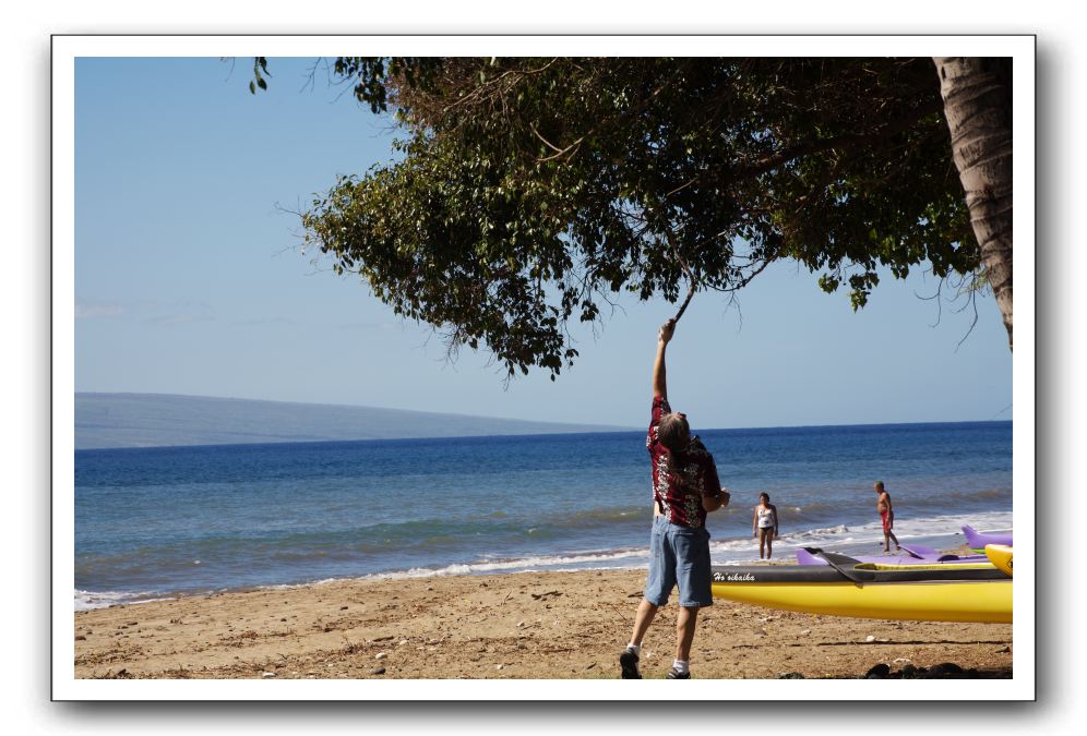 Gliders, Sand, and Surfers in Maui - 177