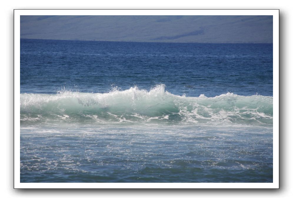 Gliders, Sand, and Surfers in Maui - 188