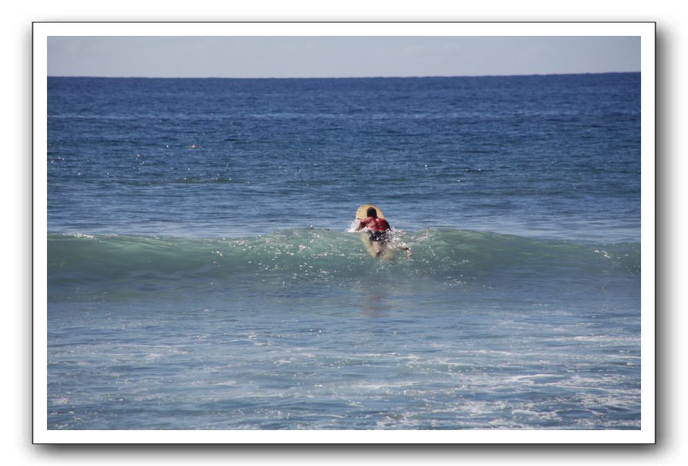 Gliders, Sand, and Surfers in Maui - 190