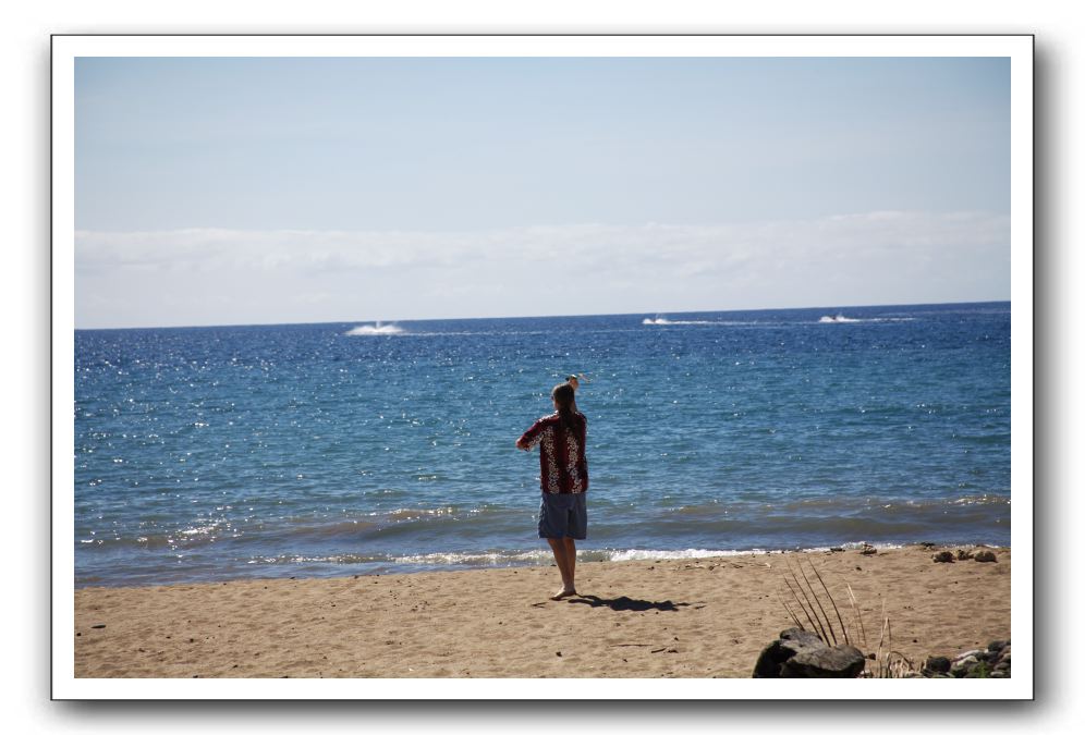 Gliders, Sand, and Surfers in Maui - 030