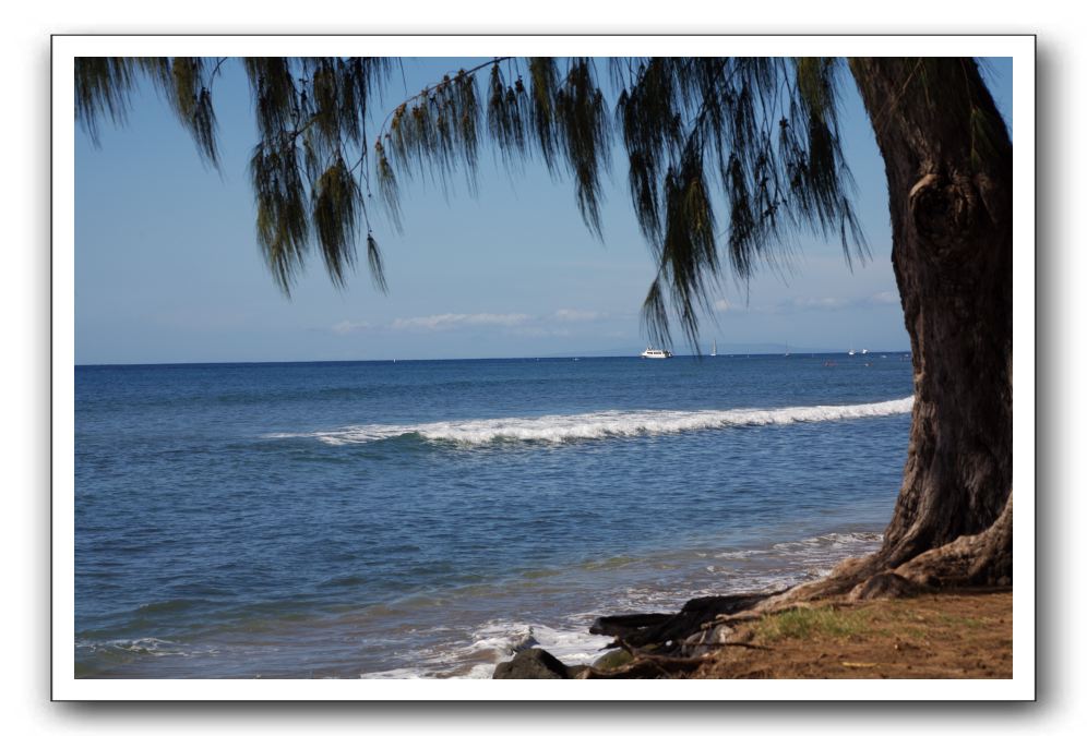 Gliders, Sand, and Surfers in Maui - 200