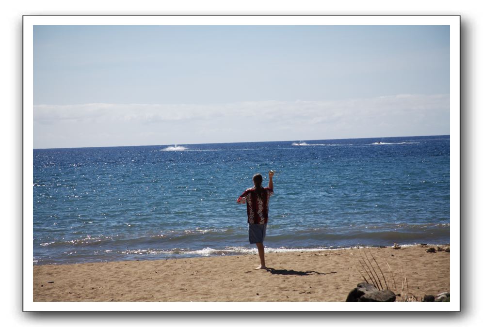 Gliders, Sand, and Surfers in Maui - 031