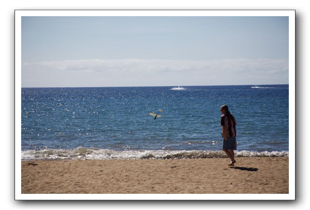 Gliders, Sand, and Surfers in Maui - 035