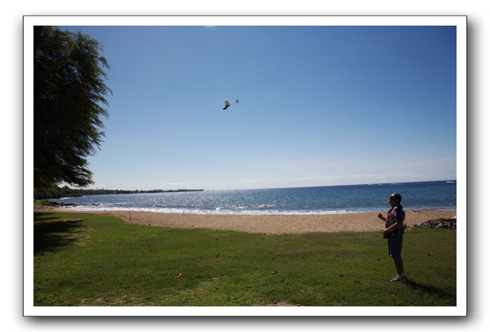 Gliders, Sand, and Surfers in Maui - 008