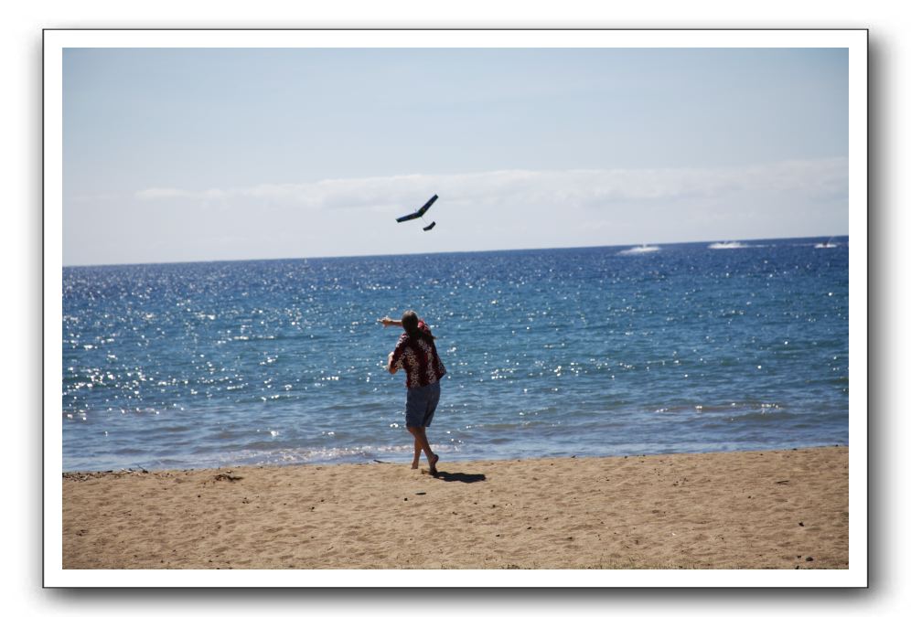 Gliders, Sand, and Surfers in Maui - 036