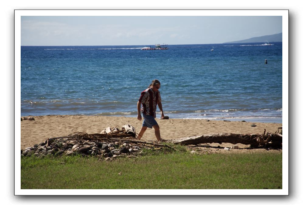 Gliders, Sand, and Surfers in Maui - 041