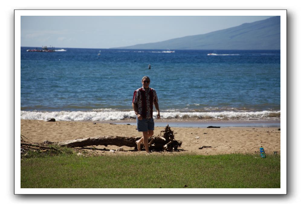 Gliders, Sand, and Surfers in Maui - 042