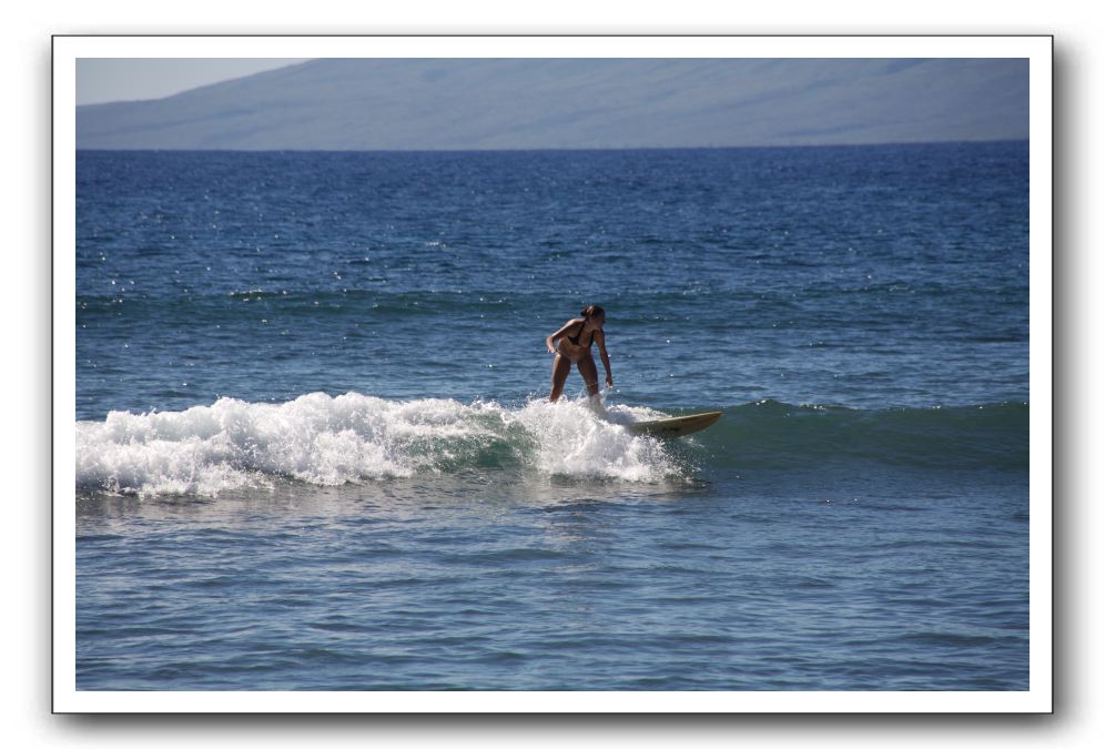 Gliders, Sand, and Surfers in Maui - 345