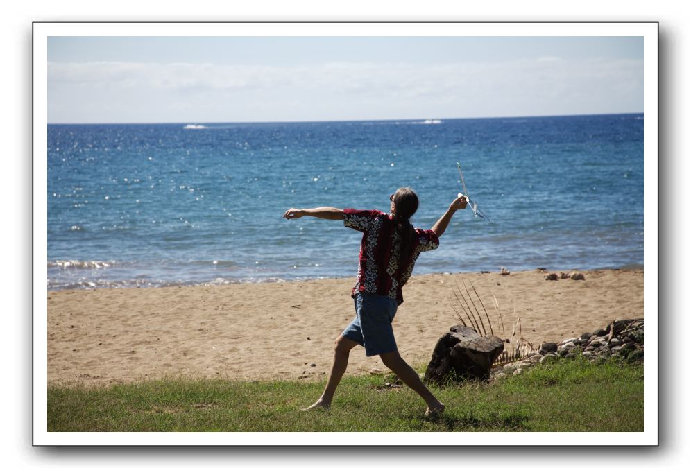 Gliders, Sand, and Surfers in Maui - 046