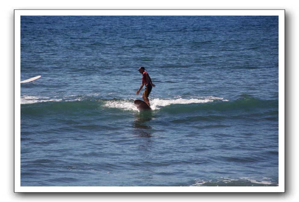 Gliders, Sand, and Surfers in Maui - 357