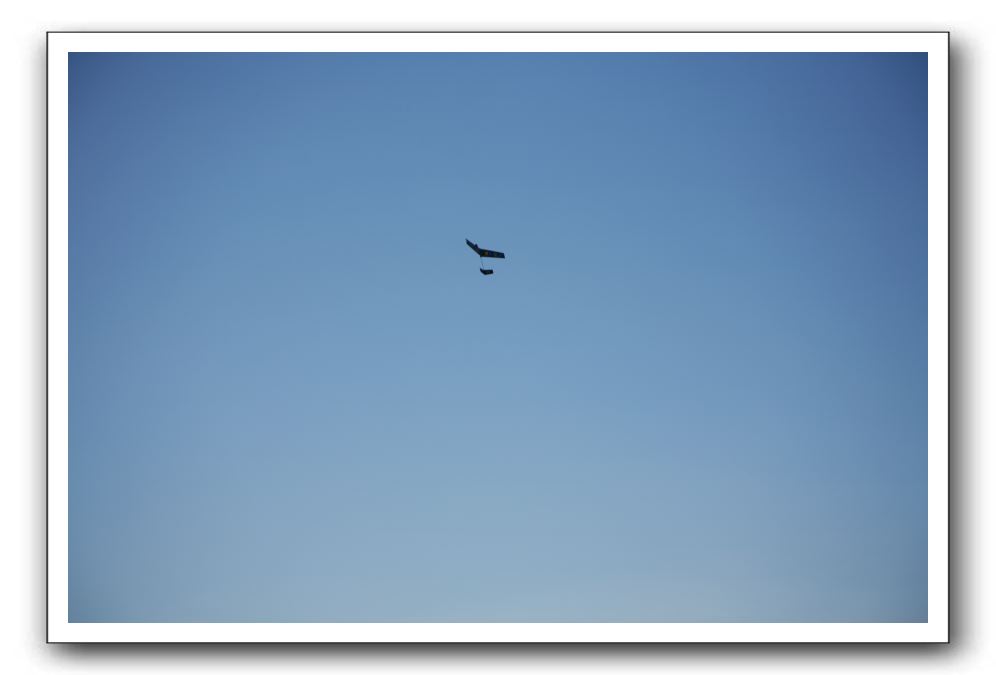 Gliders, Sand, and Surfers in Maui - 060