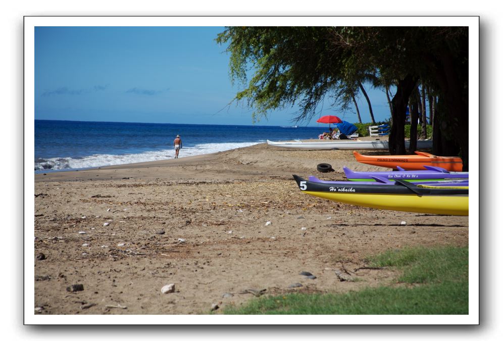 Gliders, Sand, and Surfers in Maui - 061