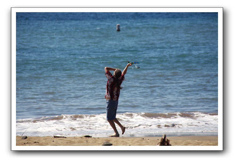 Gliders, Sand, and Surfers in Maui - 082