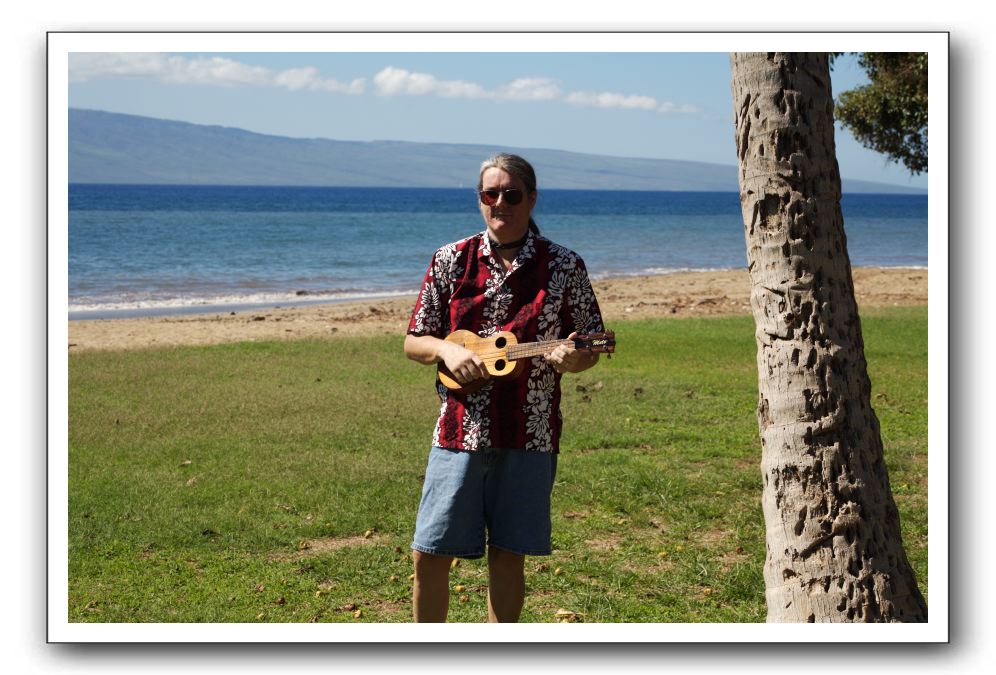 Gliders, Sand, and Surfers in Maui - 104