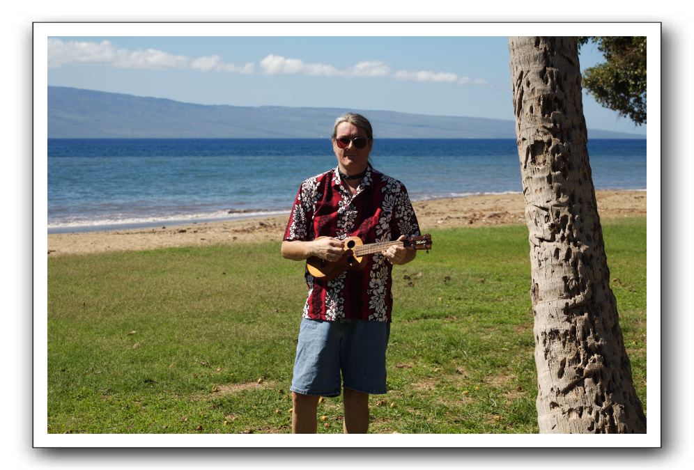 Gliders, Sand, and Surfers in Maui - 105