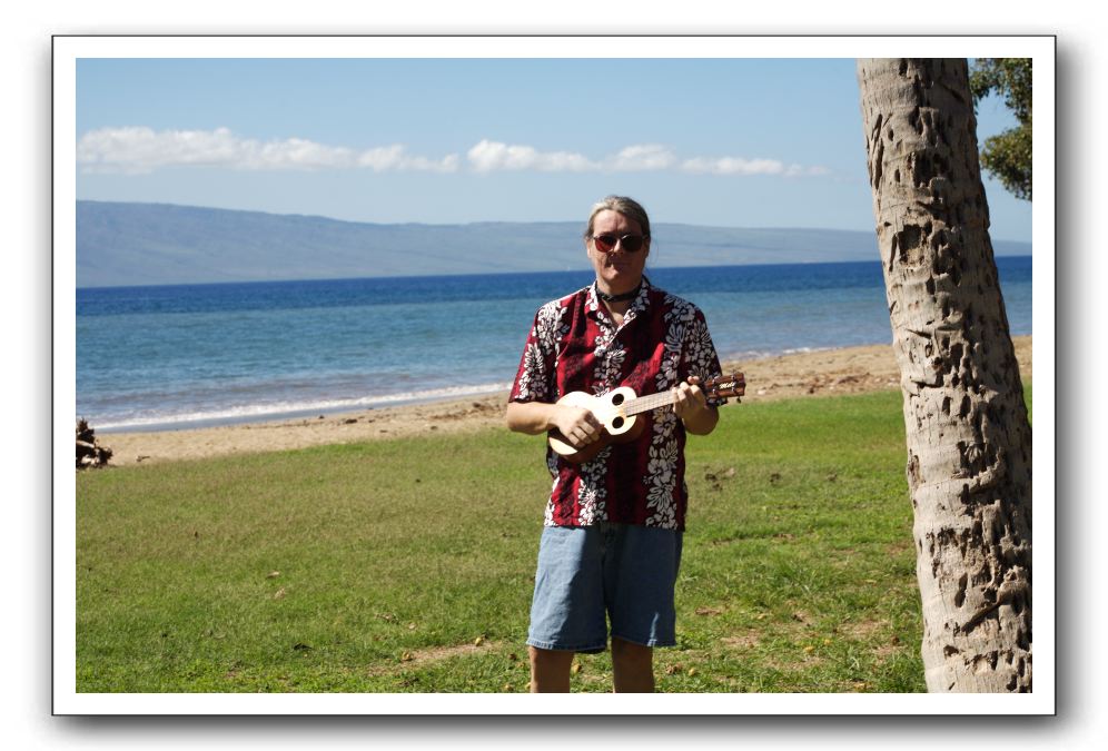 Gliders, Sand, and Surfers in Maui - 107