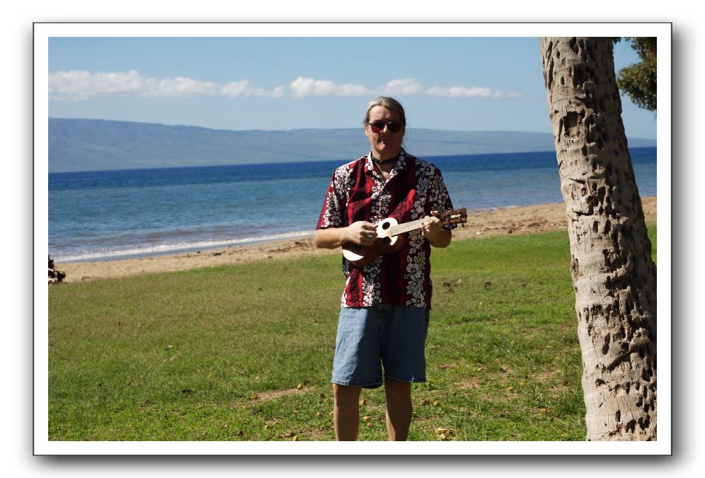 Gliders, Sand, and Surfers in Maui - 108