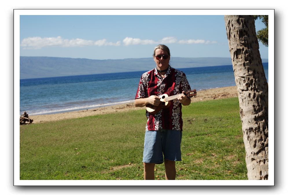 Gliders, Sand, and Surfers in Maui - 109