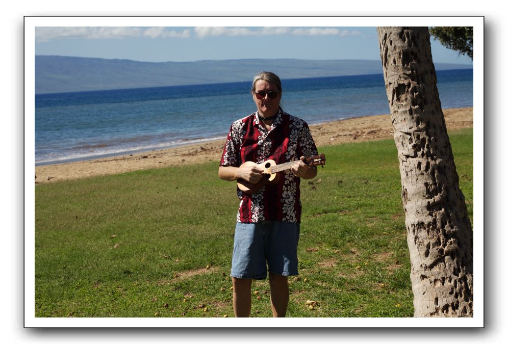 Gliders, Sand, and Surfers in Maui - 111