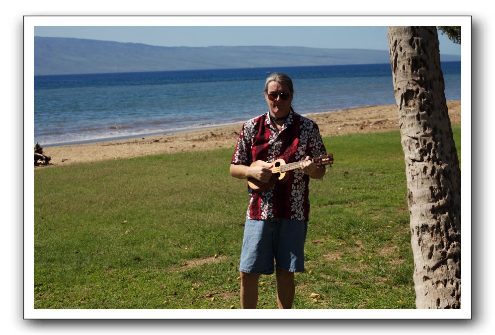 Gliders, Sand, and Surfers in Maui - 112