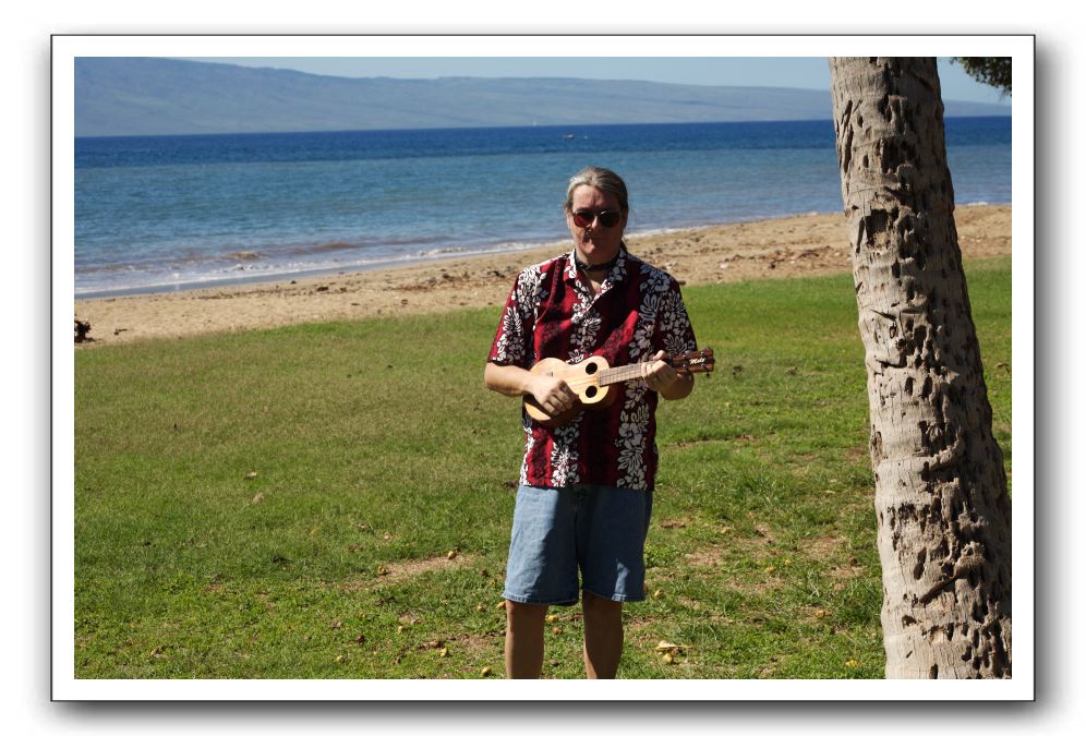 Gliders, Sand, and Surfers in Maui - 113