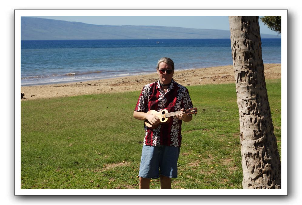 Gliders, Sand, and Surfers in Maui - 114