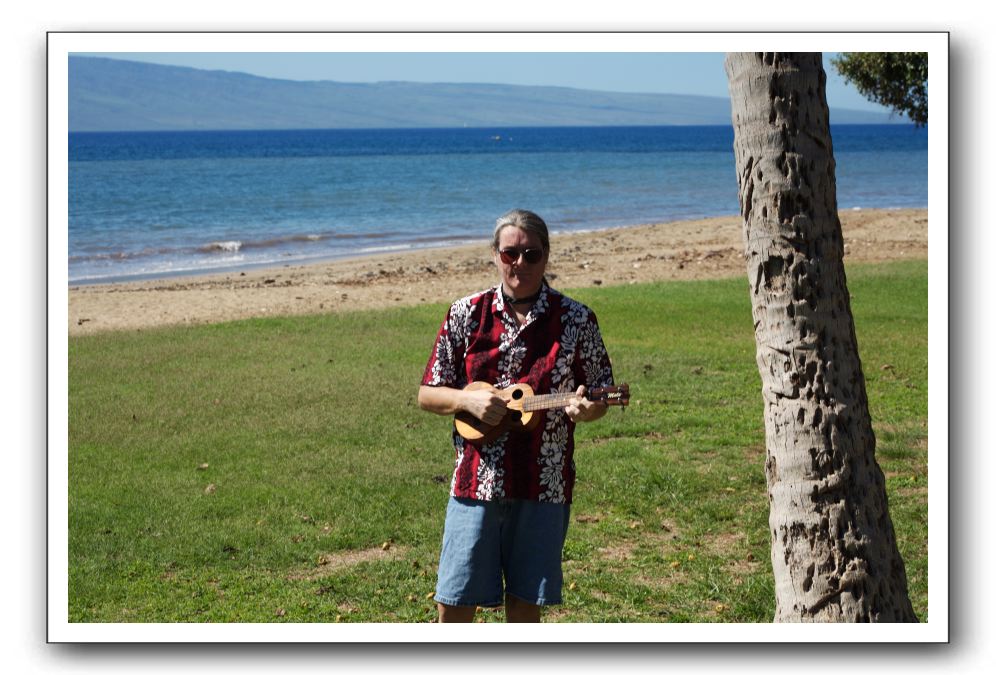 Gliders, Sand, and Surfers in Maui - 115